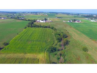 Allen County, Indiana Farmstead - FARMSTEAD AUCTION - 41+/- ACRES IN 4 TRACTS IN ALLEN COUNTY, INDIANA